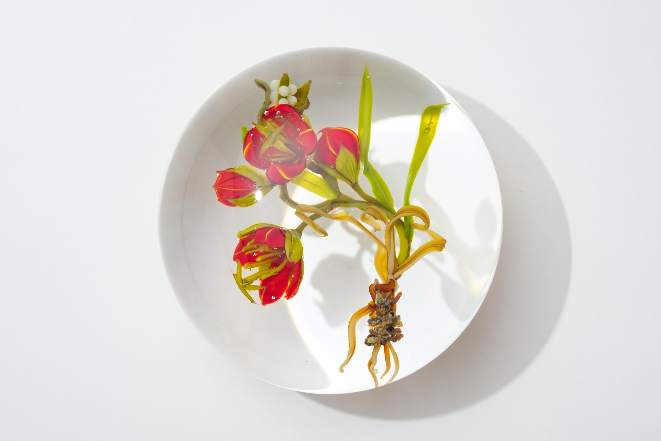 ガラスの文鎮｜Paul J Stankardの画像