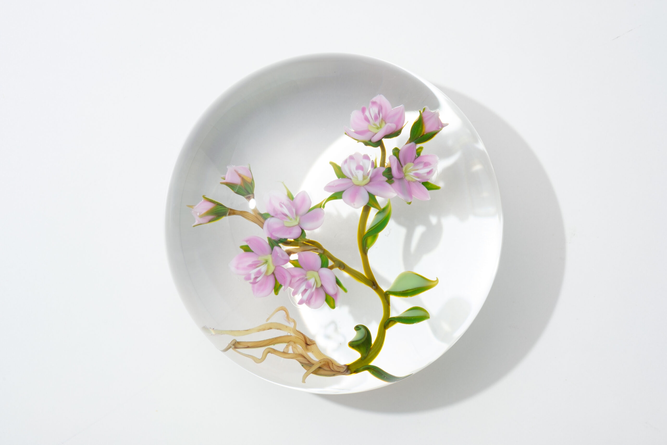 ガラスの文鎮｜PAUL STANKARDの画像